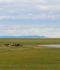 Khuduu Aral & the Secret History of the Mongols