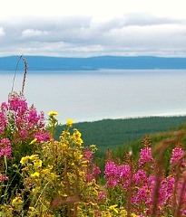 Chwsgl (Khuvsgul) Nationalpark und See